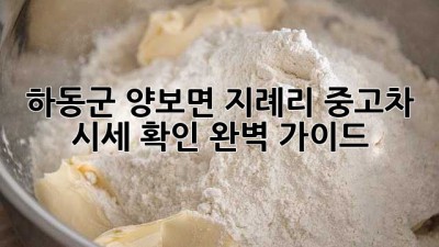 하동군 양보면 지례리 중고차 시세 확인 완벽 가이드